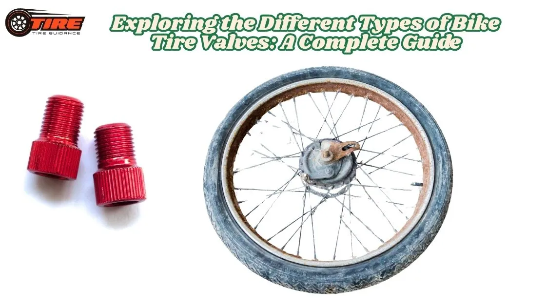 Bike Tire Valves