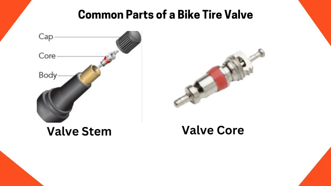 Common Parts of a Bike Tire Valve
